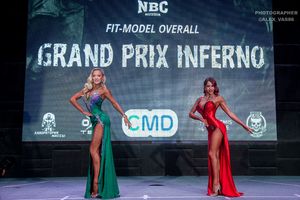 FIT-MODEL OVERALL